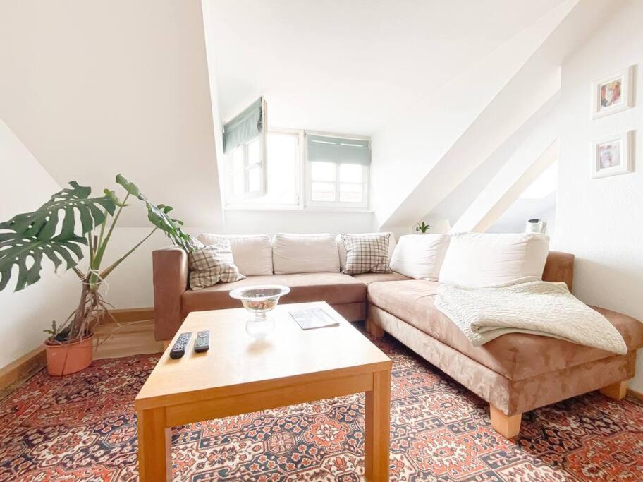 Schoene Ferienwohnung Mit Blick Ueber Stadtwald ライプツィヒ エクステリア 写真